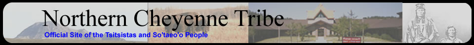 banner graphic